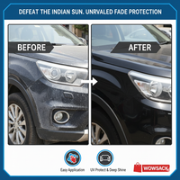 Nano Plastic Revitalizing Coating Agent for Car 100ml (Pack of 2)